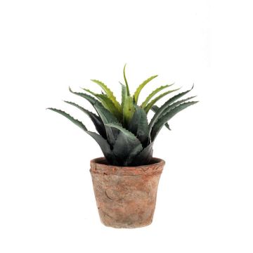Agave de plástico SEDA en maceta de terracota, verde, 20cm, Ø25cm