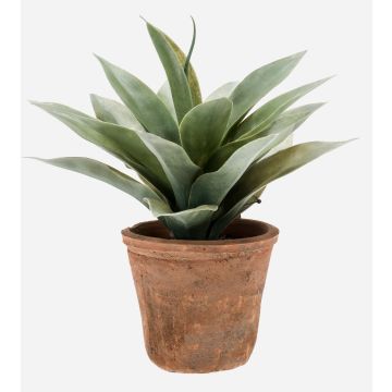 Agave de plástico DESIREE en maceta de terracota, verde, 20cm, Ø25cm Agave de plástico DESIREE en maceta de terracota, verde, 20cm, Ø25cm