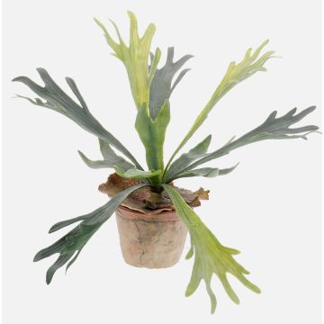 Helecho de platycerium textil MARLEY en maceta de terracota, verde, Ø45cm