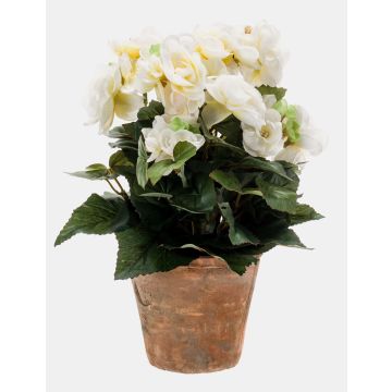 Begonia artificial DOBRADA en maceta de terracota, crema, 25cm Begonia artificial DOBRADA en maceta de terracota, crema, 25cm