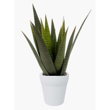 Aloe variegata artificial MARTINEZ, maceta de cerámica, verde, 30cm, Ø17cm Aloe variegata artificial MARTINEZ, maceta de cerámica, verde, 30cm, Ø17cm