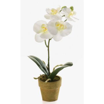 Orquídea phalaenopsis artificial SETH en maceta decorativa, crema, 25cm Orquídea phalaenopsis artificial SETH en maceta decorativa, crema, 25cm