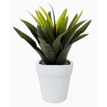 Agave de plástico SEDA en maceta de cerámica, verde, 25cm, Ø25cm Agave de plástico SEDA en maceta de cerámica, verde, 25cm, Ø25cm