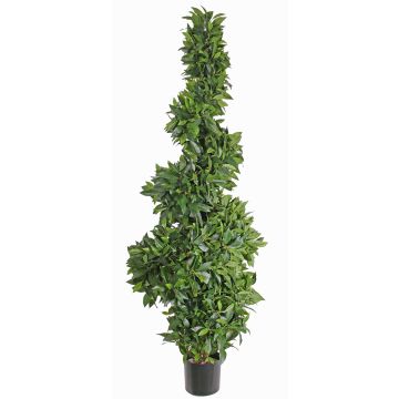 Arbusto topiario artificial de laurel cerezo con forma espiral AMBER, tronco real, 165cm Arbusto topiario artificial de laurel cerezo con forma espiral AMBER, tronco real, 165cm