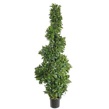Arbusto topiario artificial de laurel cerezo con forma espiral AMBER, tronco real, 165cm