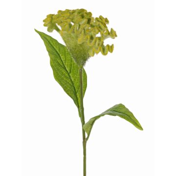 Celosia cristata artificial ANUBIS, verde-amarillo, 60cm, Ø13cm Celosia cristata artificial ANUBIS, verde-amarillo, 60cm, Ø13cm