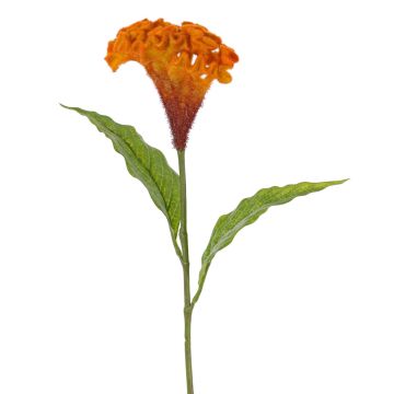 Celosia cristata artificial ANUBIS, naranja, 60cm, Ø13cm Celosia cristata artificial ANUBIS, naranja, 60cm, Ø13cm