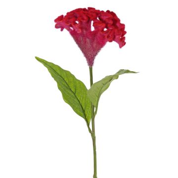 Celosia cristata artificial ANUBIS, rojo, 60cm, Ø13cm Celosia cristata artificial ANUBIS, rojo, 60cm, Ø13cm