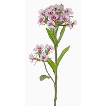 Clavel del poeta sintético ARCHIE, crema-fucsia, 60cm, Ø8-14cm Clavel del poeta sintético ARCHIE, crema-fucsia, 60cm, Ø8-14cm