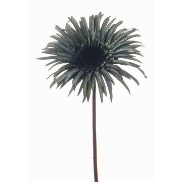 Gerbera artificial SIEDA, azul-verde, 65cm, Ø12cm Gerbera artificial SIEDA, azul-verde, 65cm, Ø12cm