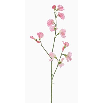 Flor falsa Lathyrus ASFALOTH, rosa, 65cm, Ø3-5cm Flor falsa Lathyrus ASFALOTH, rosa, 65cm, Ø3-5cm