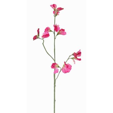 Flor artificial Lathyrus ASFALOTH, rosa, 65cm, Ø3-5cm Flor artificial Lathyrus ASFALOTH, rosa, 65cm, Ø3-5cm