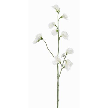 Flor artificial Lathyrus ASFALOTH, blanca, blanco, 65cm, Ø3-5cm Flor artificial Lathyrus ASFALOTH, blanca, blanco, 65cm, Ø3-5cm