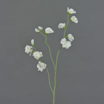 Flor artificial Lathyrus ASFALOTH, blanca, 65cm