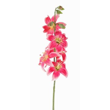 Lirio de tigre falso ASHANTI, fucsia, 60cm, Ø10cm Lirio de tigre falso ASHANTI, fucsia, 60cm, Ø10cm