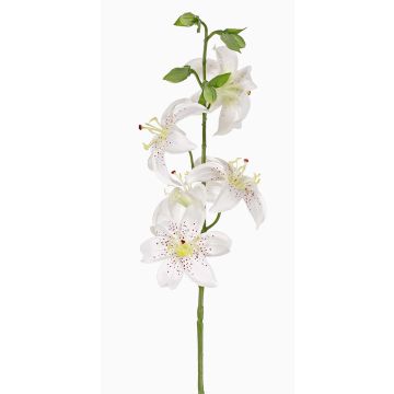 Lirio de tigre artificial ASHANTI, blanco, 60cm, Ø10cm Lirio de tigre artificial ASHANTI, blanco, 60cm, Ø10cm