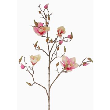 Magnolia artificial LORA, rosa crema, 110cm, Ø10-12cm Magnolia artificial LORA, rosa crema, 110cm, Ø10-12cm