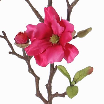 Magnolia artificial MARGA, rosa, 80cm, Ø6-8cm Magnolia artificial MARGA, rosa, 80cm, Ø6-8cm