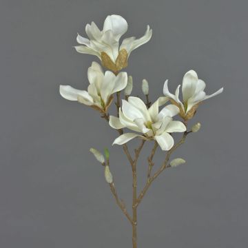 Magnolia estrellada artificial AZULA, crema, 60cm, Ø7-9cm