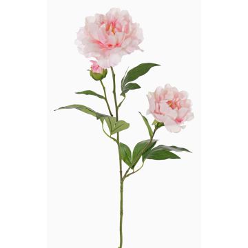 Flor textil de peonía ONYX, crema-rosa, 75cm, Ø10-13cm Flor textil de peonía ONYX, crema-rosa, 75cm, Ø10-13cm