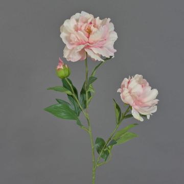 Flor textil de peonía ONYX, crema-rosa, 70cm, Ø10-13cm