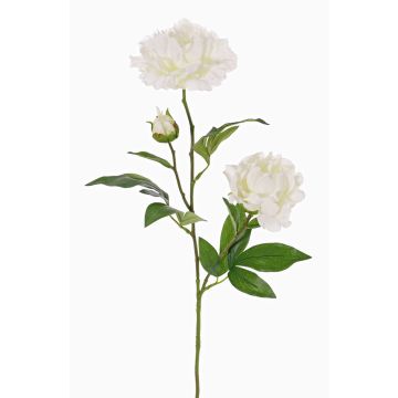 Flor textil de peonía ONYX, crema-blanca, 75cm, Ø10-13cm Flor textil de peonía ONYX, crema-blanca, 75cm, Ø10-13cm
