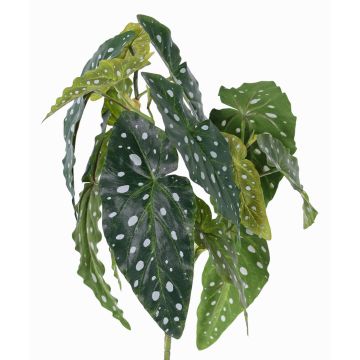 Begonia maculata artificial HANSE en vara de fijación, verde-blanco, 40cm Begonia maculata artificial HANSE en vara de fijación, verde-blanco, 40cm