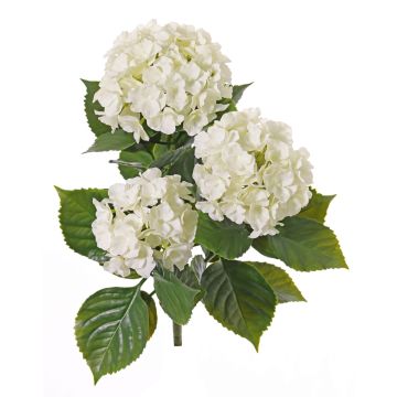 Hortensia artificial SAIRA, en vara de fijación, zonas resguardadas, crema, 40cm, Ø11-13cm