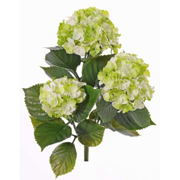 Hortensia artificial SAIRA, en vara de fijación, zonas resguardadas, verde-crema, 40cm, Ø11-13cm