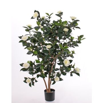 Camelia Japónica artificial SENTA, tallos reales, flores, crema, 135 cm.