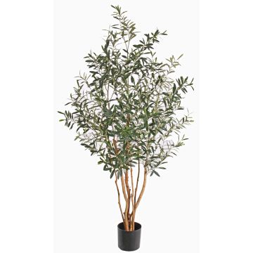 Olivo artificial ROY, troncos reales, zonas resguardadas, 165cm Olivo artificial ROY, troncos reales, zonas resguardadas, 165cm