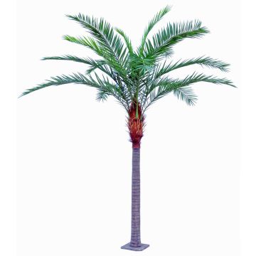 Palmera datilera canaria artificial MORLE, zonas resguardadas, 430cm