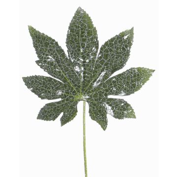 Hoja de plástico de Aralia HERRO, brillo, verde, 20cm Hoja de plástico de Aralia HERRO, brillo, verde, 20cm