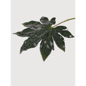 Hoja de plástico de Aralia HERRO, brillo, verde, 20cm