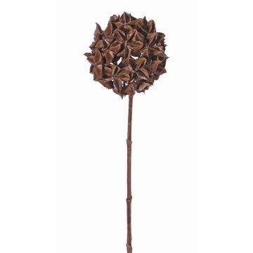 Rama artificial de anís estrellado CATBERT, marrón, 70cm, Ø10cm Rama artificial de anís estrellado CATBERT, marrón, 70cm, Ø10cm