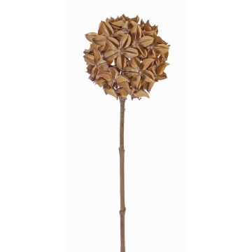 Rama artificial de anís estrellado CATBERT, marrón claro, 70cm, Ø10cm