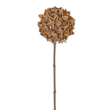Rama artificial de anís estrellado CATBERT, marrón claro, 70cm, Ø10cm