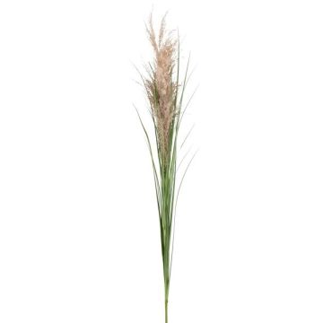Rama decorativa de caña FROGIL con panículas, verde-beige, 135 cm