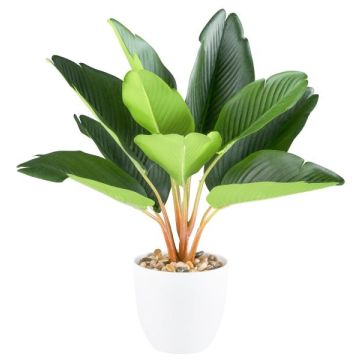 Planta artificial Strelitzia PLIMBER, maceta de melamina, verde, 35 cm Planta artificial Strelitzia PLIMBER, maceta de melamina, verde, 35 cm
