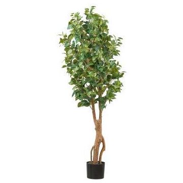 Árbol artificial Ficus Benjamini NATRONA, troncos naturales, 160 cm