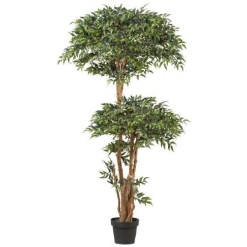 Árbol artificial Ruscus NEOSHO en maceta decorativa, troncos naturales, 170cm