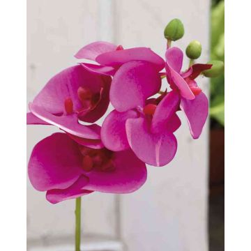 Rama artificial de Orquídea Phalaenopsis OPHELIA, fucsia, 40cm