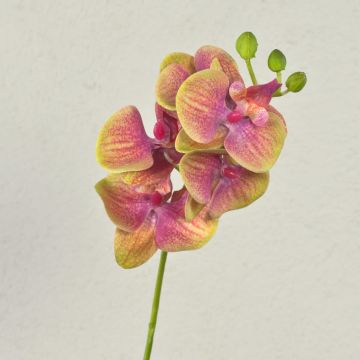 Rama artificial de Orquídea Phalaenopsis OPHELIA, fucsia-verde, 40cm