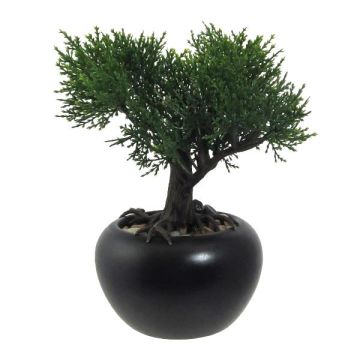 Árbol artificial bonsái cedro FALKE con raíces, maceta de cerámica, 19 cm