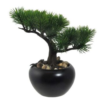 Árbol artificial bonsái pino FALKE con raíces, maceta de cerámica, 19 cm