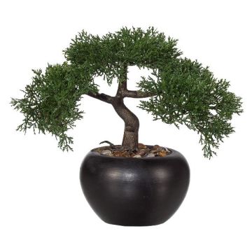 Árbol artificial bonsái cedro FALKE con raíces, maceta de cerámica, 26 cm
