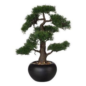 Árbol artificial bonsái cedro FALKE, maceta de cerámica, 50 cm