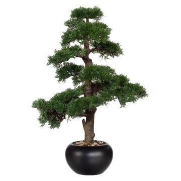 Árbol artificial bonsái cedro FALKE con raíces, maceta de cerámica, 70 cm