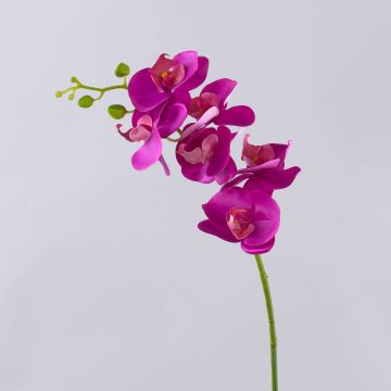 Rama artificial de Orquídea Phalaenopsis OPHELIA, fucsia, 80cm Rama artificial de Orquídea Phalaenopsis OPHELIA, fucsia, 80cm