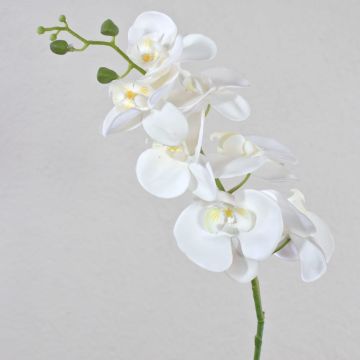 Rama artificial de Orquídea Phalaenopsis OPHELIA, blanca, 80cm